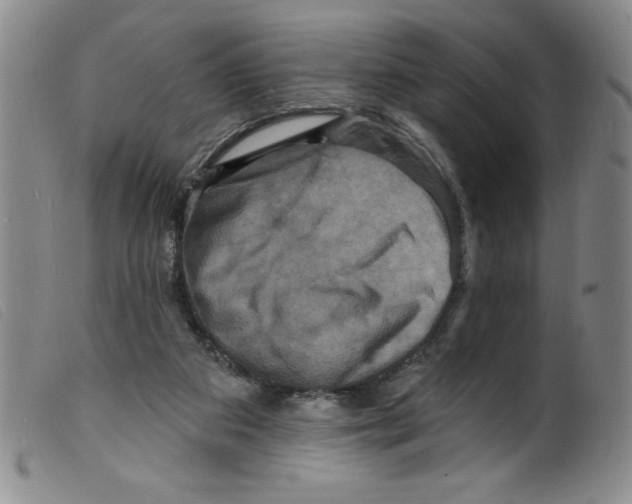X0000098200113200805221551