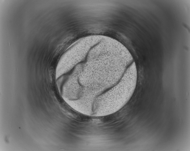X0000098200114200805221551