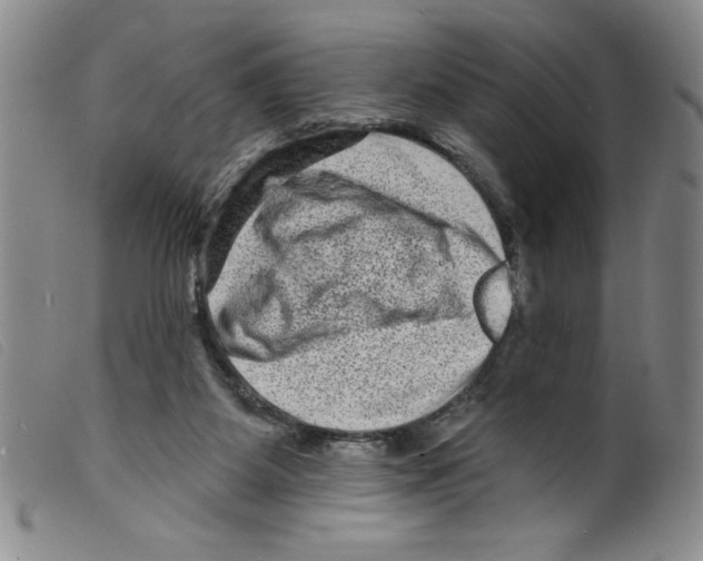 X0000098200115200805221551