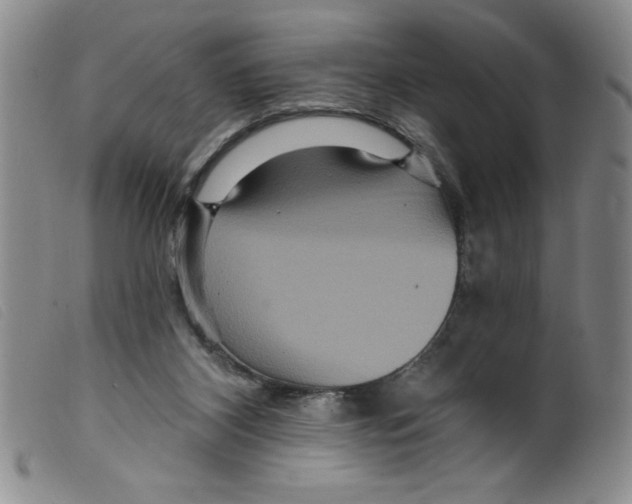 X0000098200116200805221551