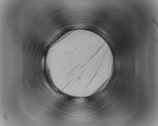 X0000098200118200805221551