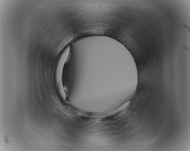 X0000098200120200805221551