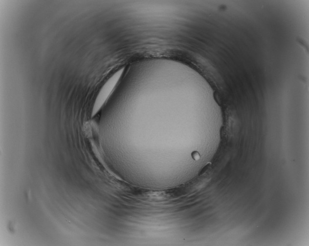 X0000098200121200805221551