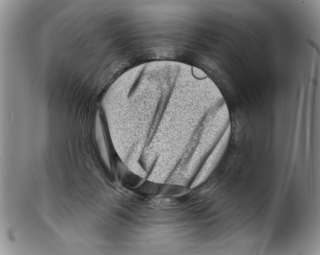 X0000098200123200805221551