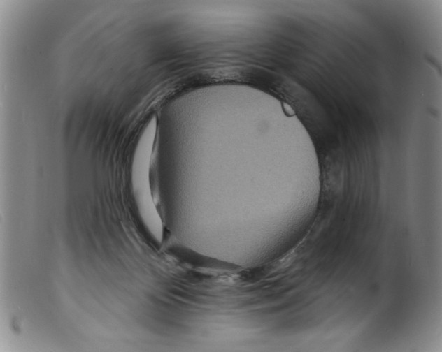 X0000098200124200805221551