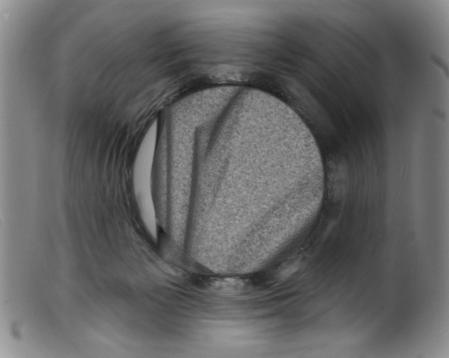 X0000098200125200805221551