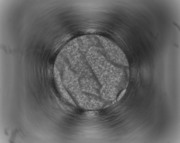 X0000098200126200805221551