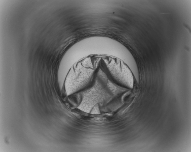X0000098200128200805221551