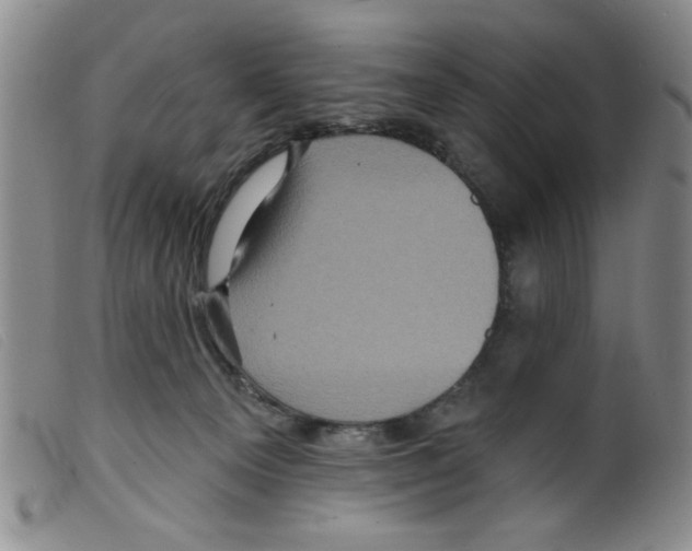 X0000098200129200805221551