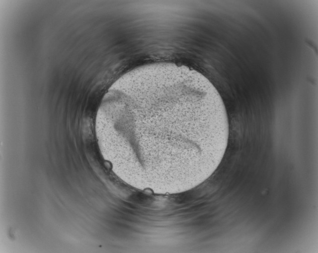 X0000098200130200805221551