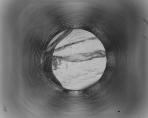 X0000098200131200805221551
