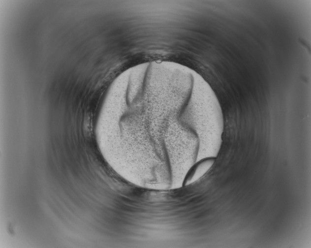 X0000098200134200805221550
