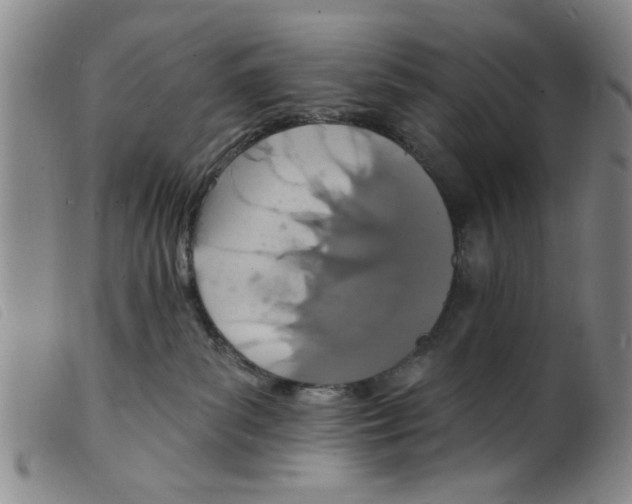 X0000098200139200805221550