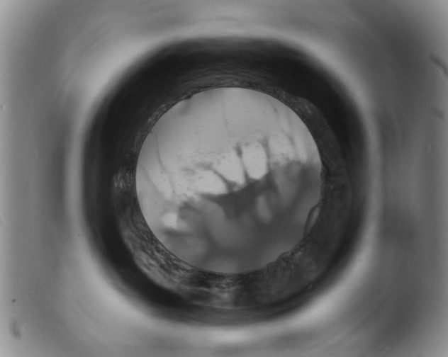 X0000098200143200805221550