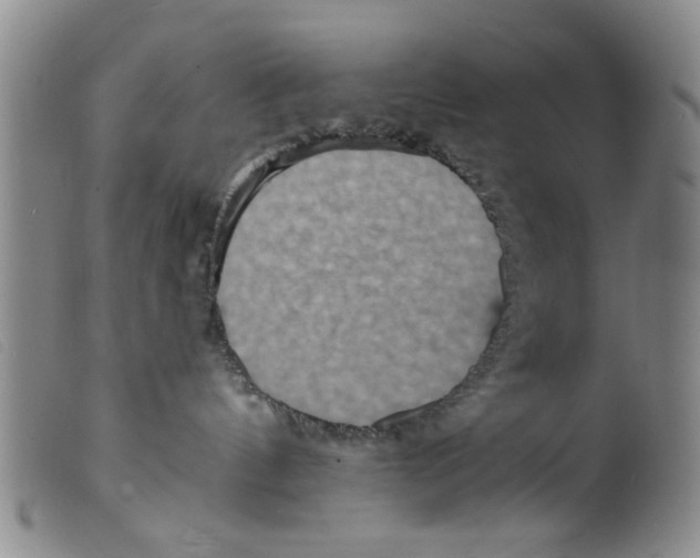 X0000098200144200805221550