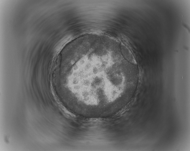 X0000098200145200805221549