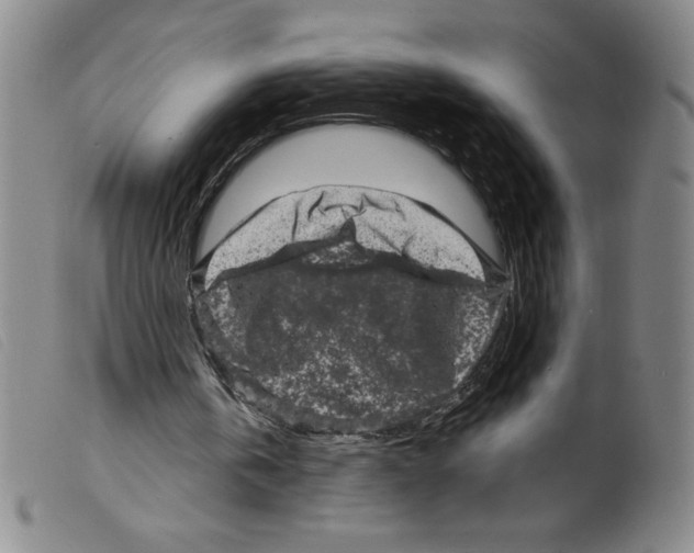 X0000098200146200805221550