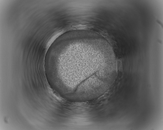 X0000098200147200805221550