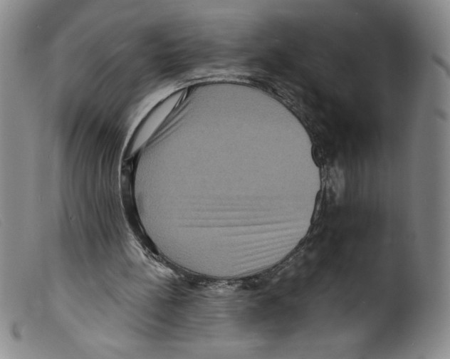 X0000098200148200805221550