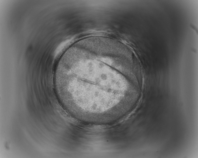 X0000098200149200805221550