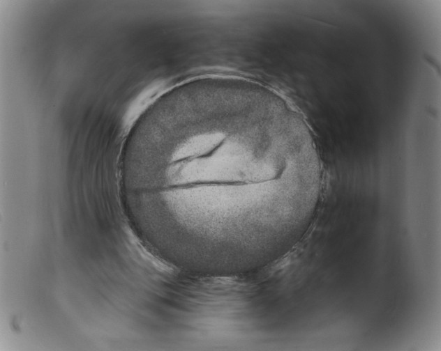 X0000098200151200805221550