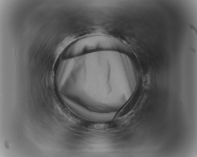 X0000098200152200805221550