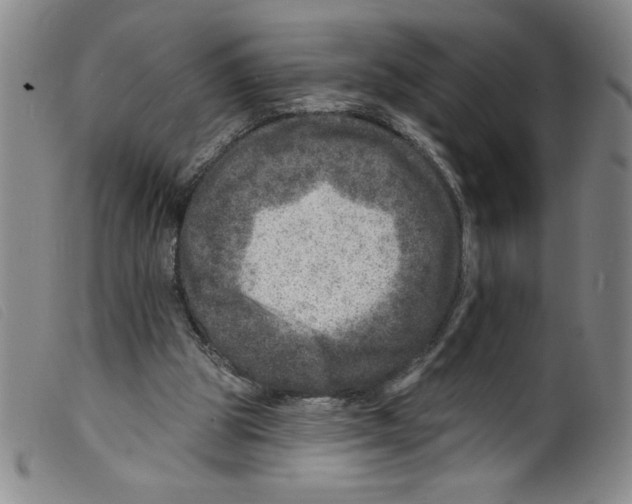 X0000098200153200805221550