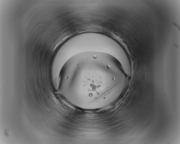 X0000098200154200805221550
