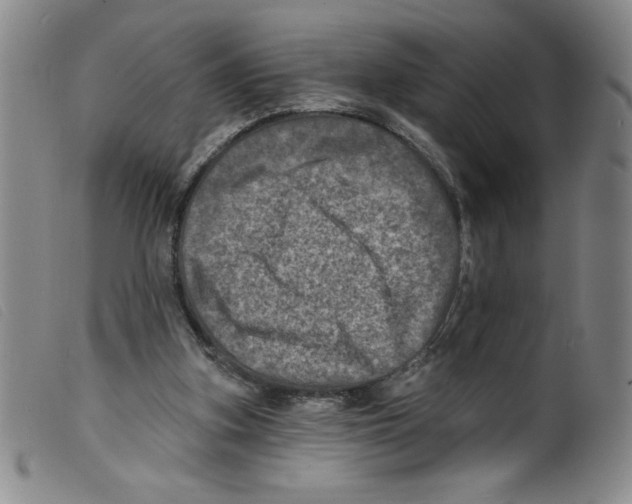 X0000098200155200805221550