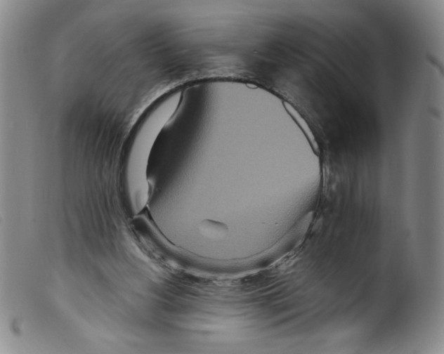 X0000098200156200805221550