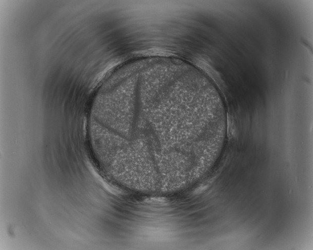 X0000098200157200805221550