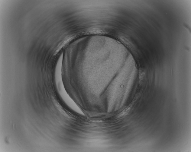 X0000098200158200805221550