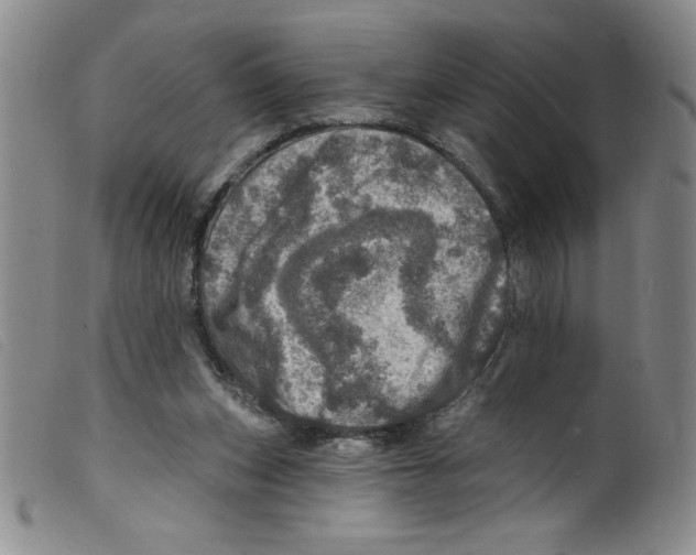 X0000098200159200805221550