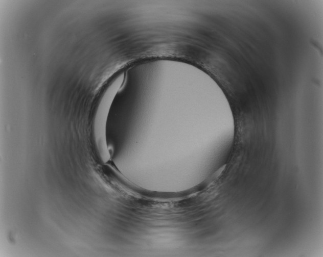 X0000098200160200805221550