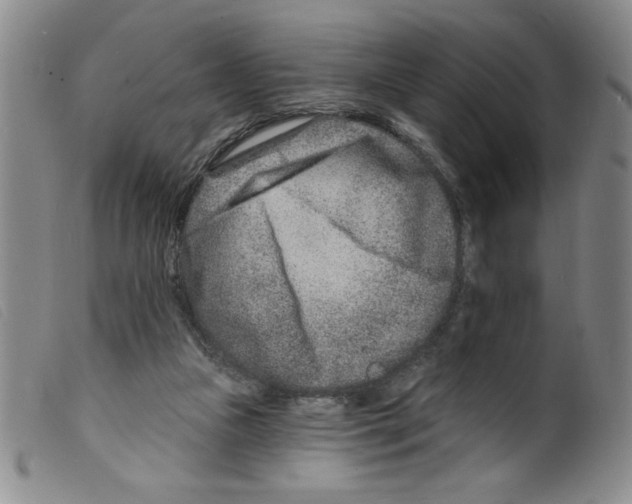 X0000098200161200805221550