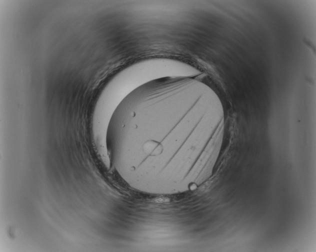 X0000098200162200805221550
