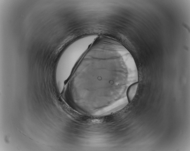 X0000098200163200805221550