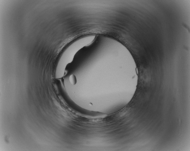 X0000098200164200805221550