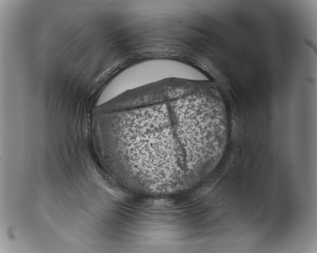 X0000098200165200805221550