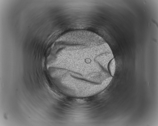 X0000098200166200805221550