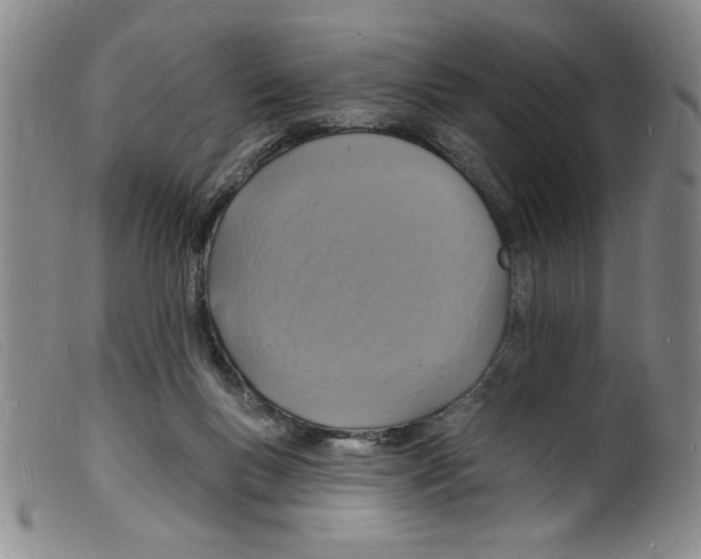 X0000098200167200805221550