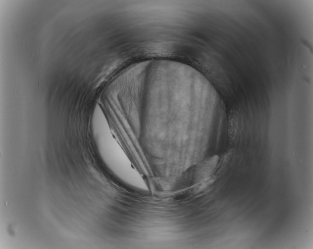 X0000098200168200805221550