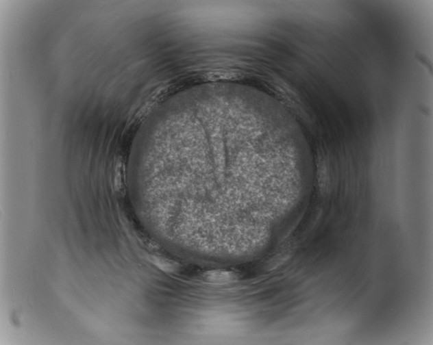 X0000098200169200805221550
