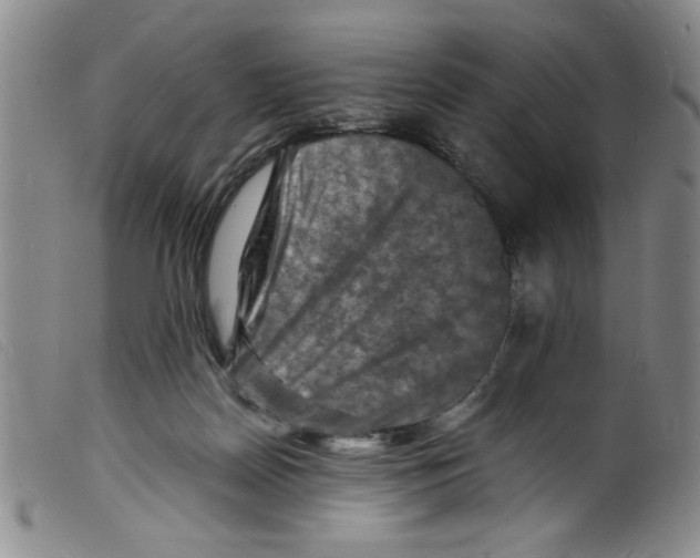 X0000098200170200805221550