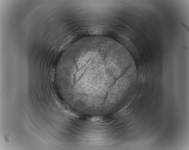 X0000098200171200805221550