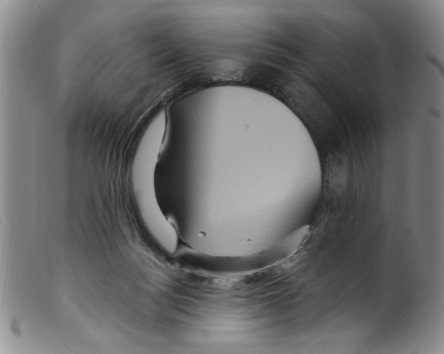 X0000098200172200805221550