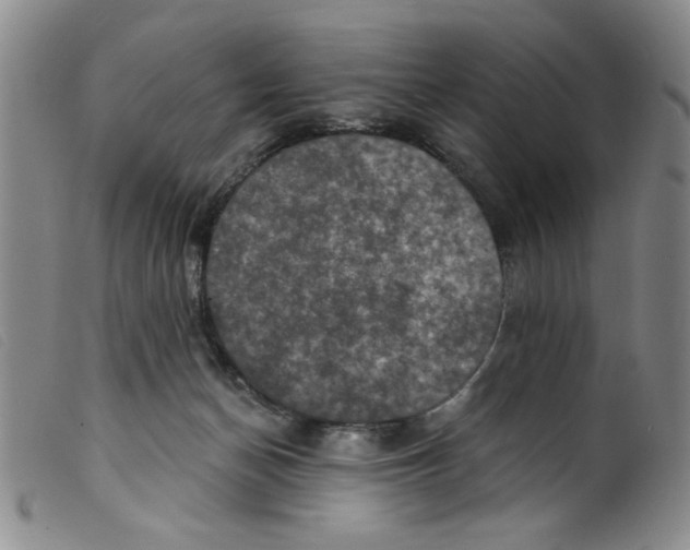 X0000098200174200805221550