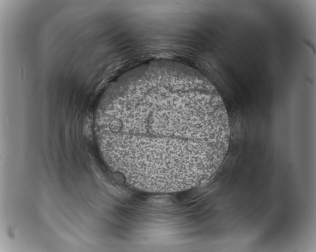 X0000098200175200805221550