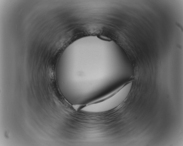 X0000098200176200805221550