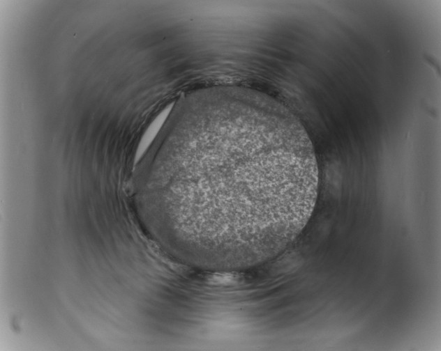 X0000098200177200805221550